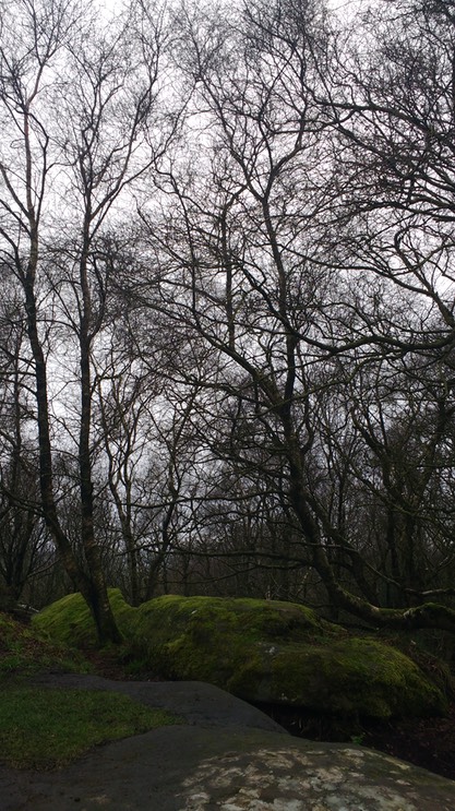 IMG_20170103_130923480