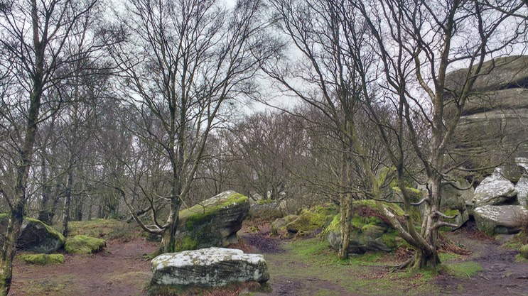 IMG_20170103_131455426_HDR