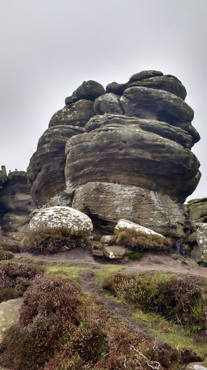 IMG_20170103_131928544_HDR