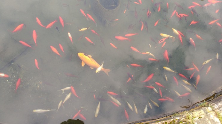 IMG_20170104_113812244