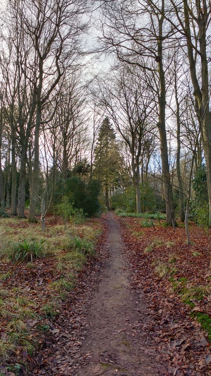 IMG_20170104_123209979_HDR