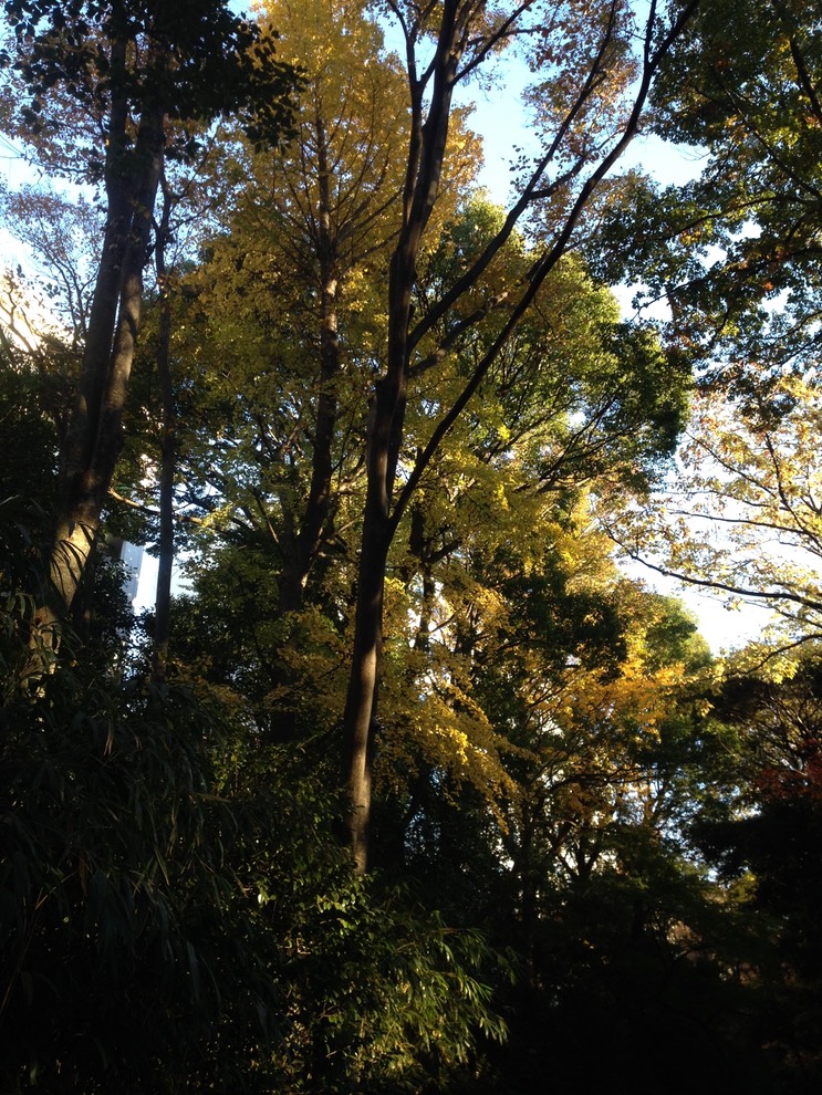 Photo 01-12-2013 15 30 46