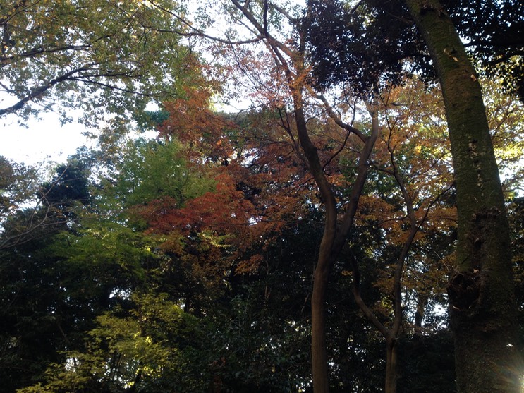 Photo 01-12-2013 15 32 12