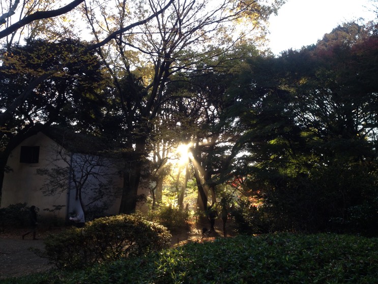 Photo 01-12-2013 15 33 57