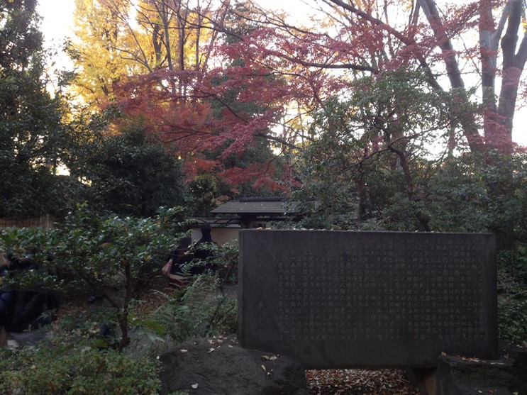 Photo 01-12-2013 15 36 15