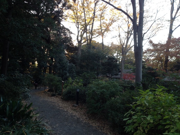 Photo 01-12-2013 15 37 02