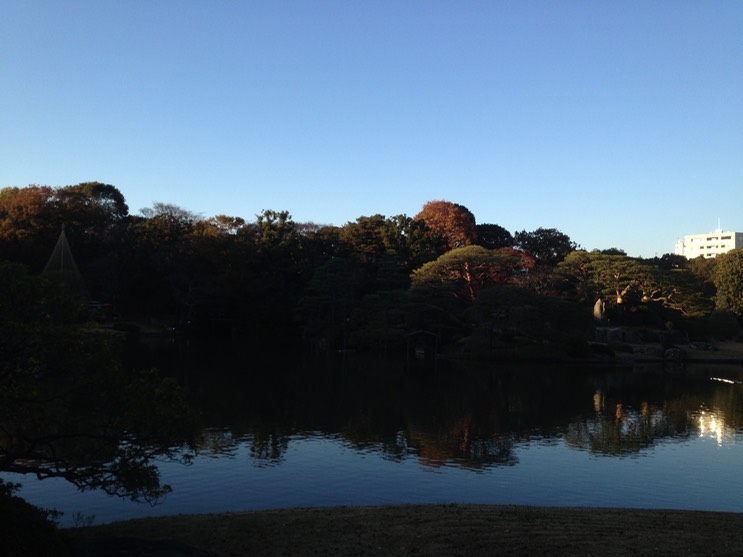 Photo 01-12-2013 15 39 18