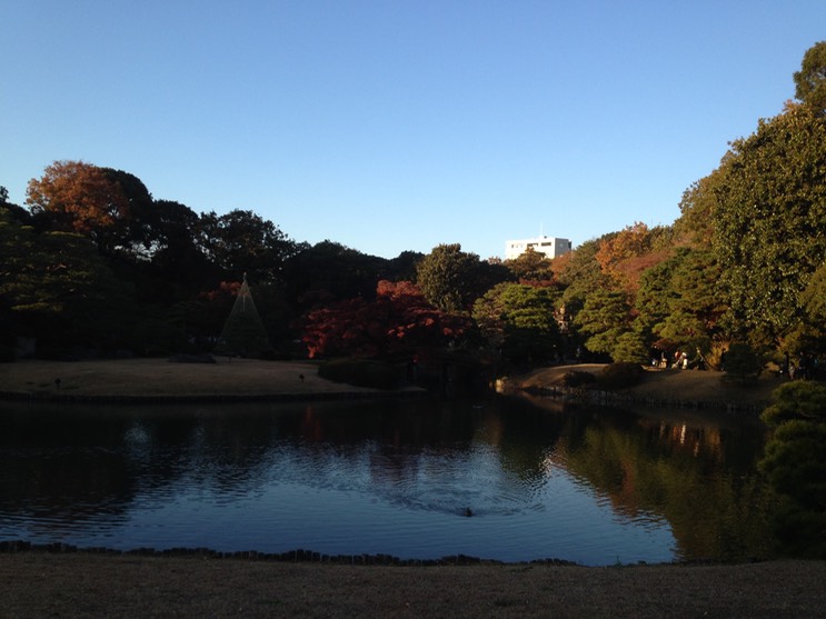 Photo 01-12-2013 15 42 22