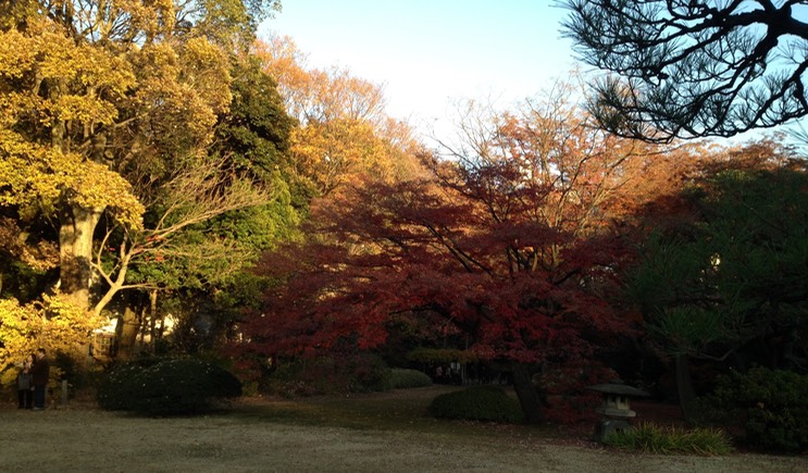 Photo 01-12-2013 15 43 23