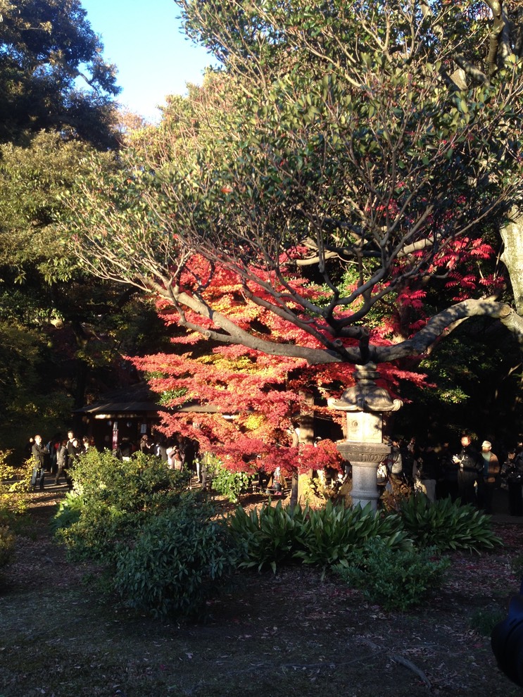 Photo 01-12-2013 15 44 09