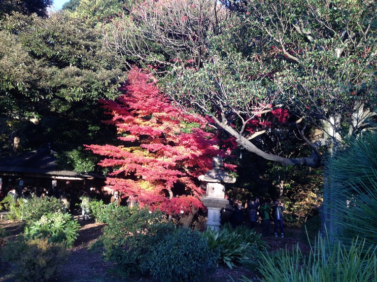 Photo 01-12-2013 15 44 35