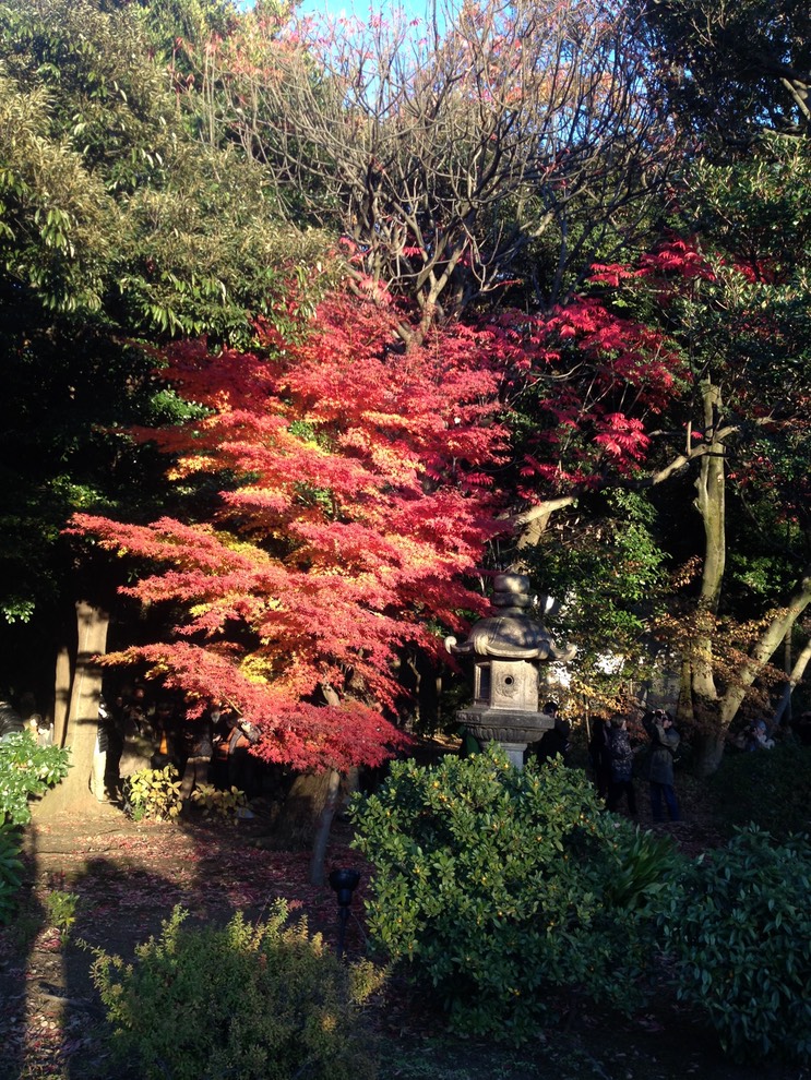 Photo 01-12-2013 15 45 02