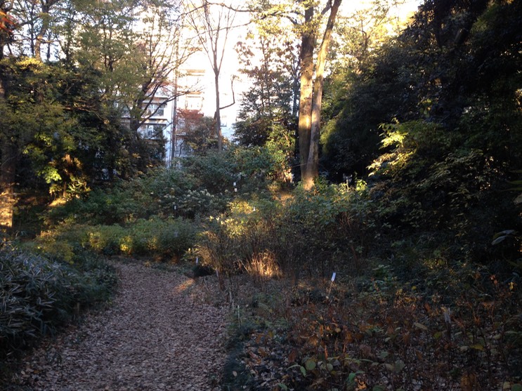 Photo 01-12-2013 15 46 19