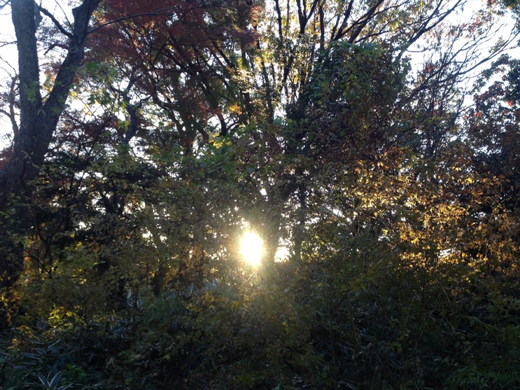 Photo 01-12-2013 15 46 57