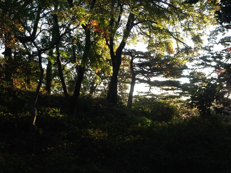 Photo 01-12-2013 15 47 30