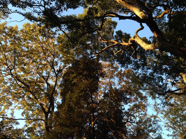 Photo 01-12-2013 15 47 47