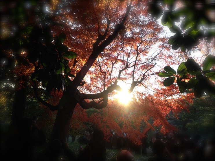 Photo 01-12-2013 15 48 05