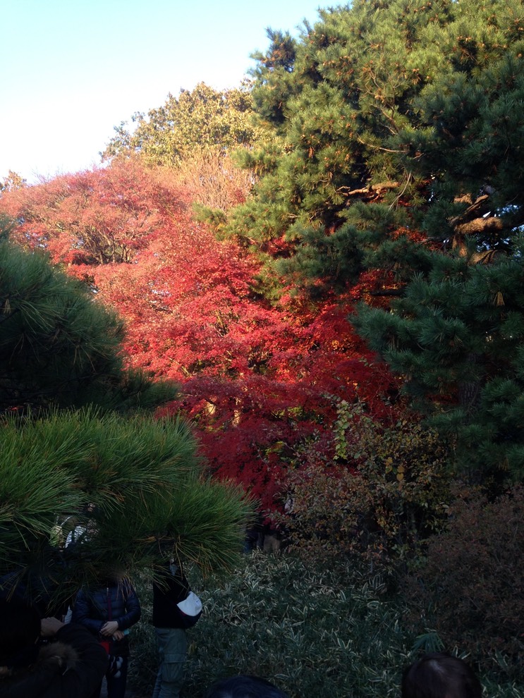 Photo 01-12-2013 15 50 52