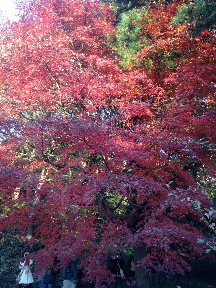 Photo 01-12-2013 15 51 10