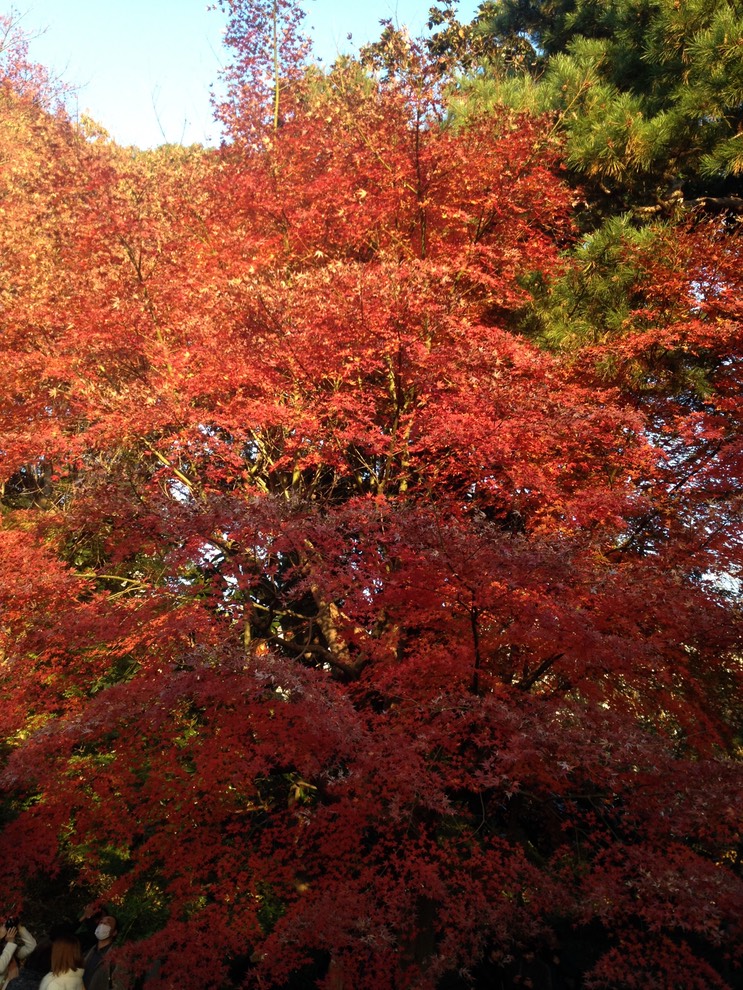 Photo 01-12-2013 15 51 22