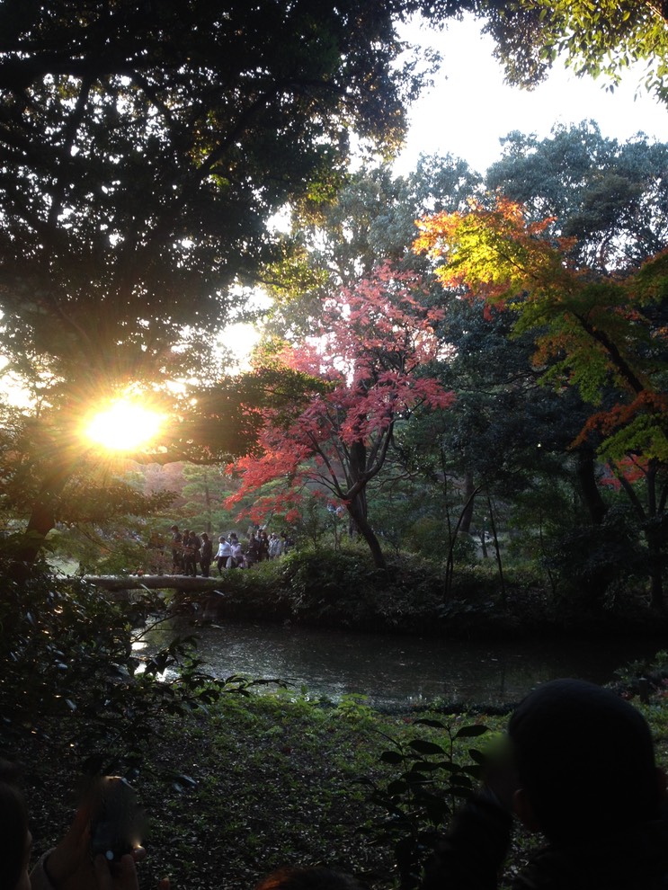 Photo 01-12-2013 15 53 31