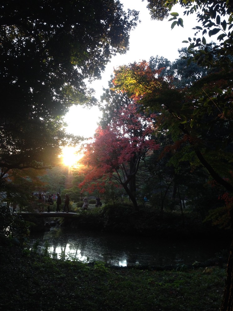 Photo 01-12-2013 15 53 47