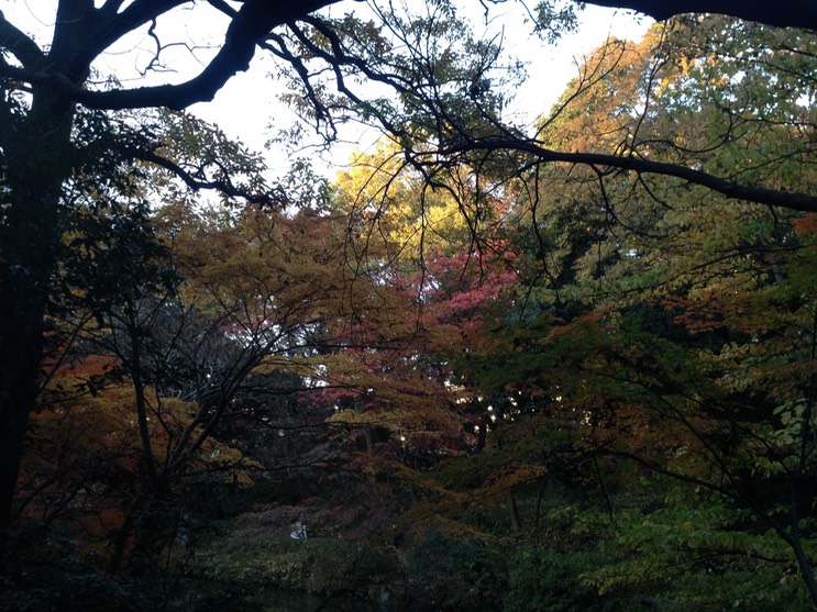 Photo 01-12-2013 15 55 56