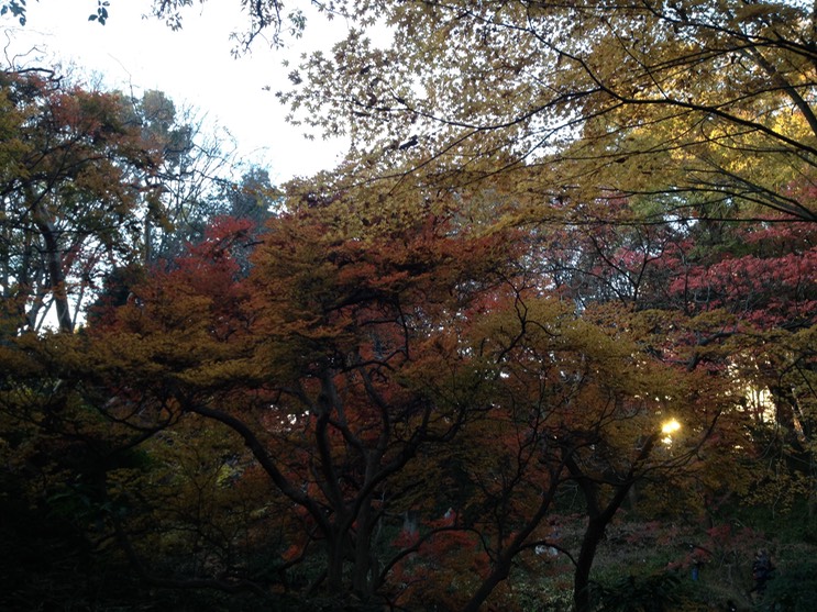 Photo 01-12-2013 15 56 13