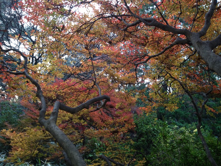 Photo 01-12-2013 15 56 30