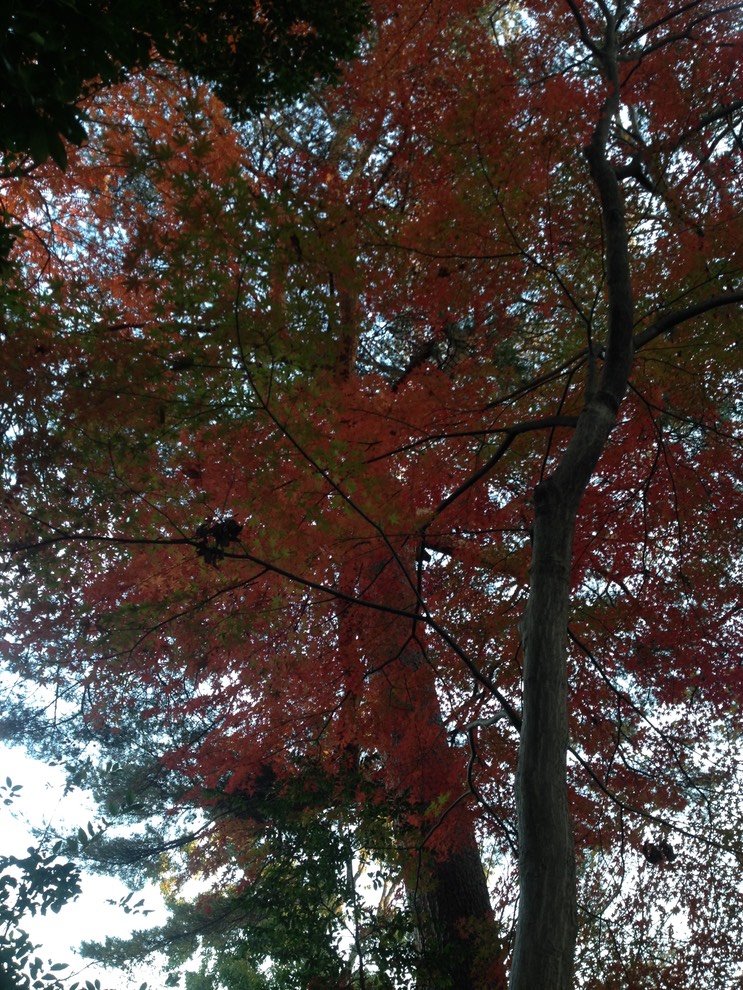 Photo 01-12-2013 16 00 01