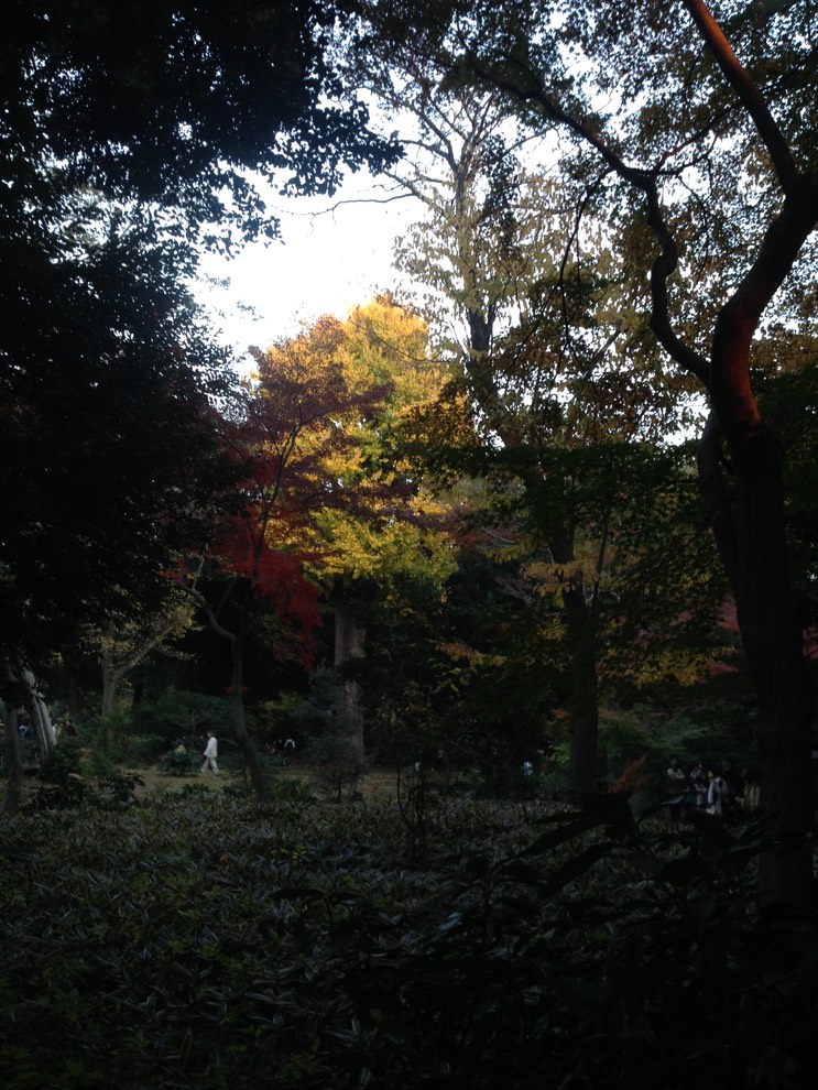 Photo 01-12-2013 16 08 12