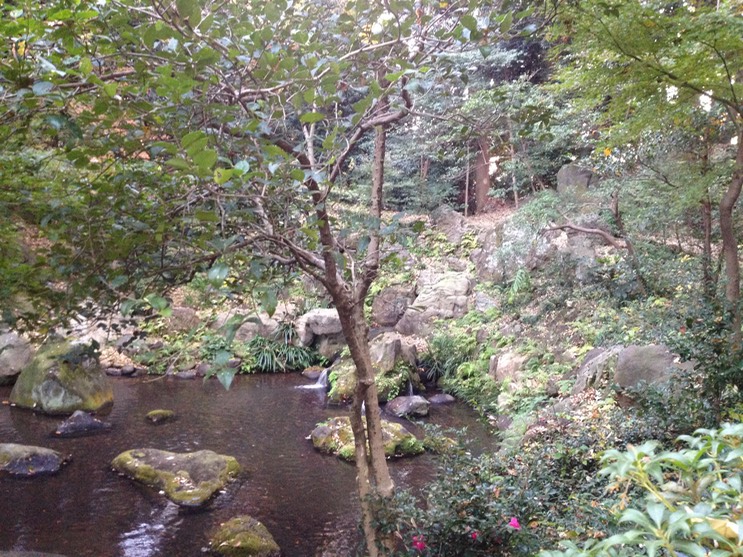 Photo 01-12-2013 16 09 12