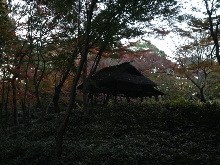 Photo 01-12-2013 16 24 03