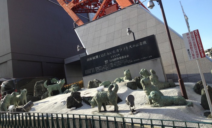 Photo 02-02-2013 14 20 33