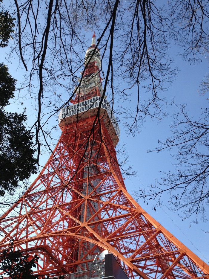 Photo 02-02-2013 14 21 07