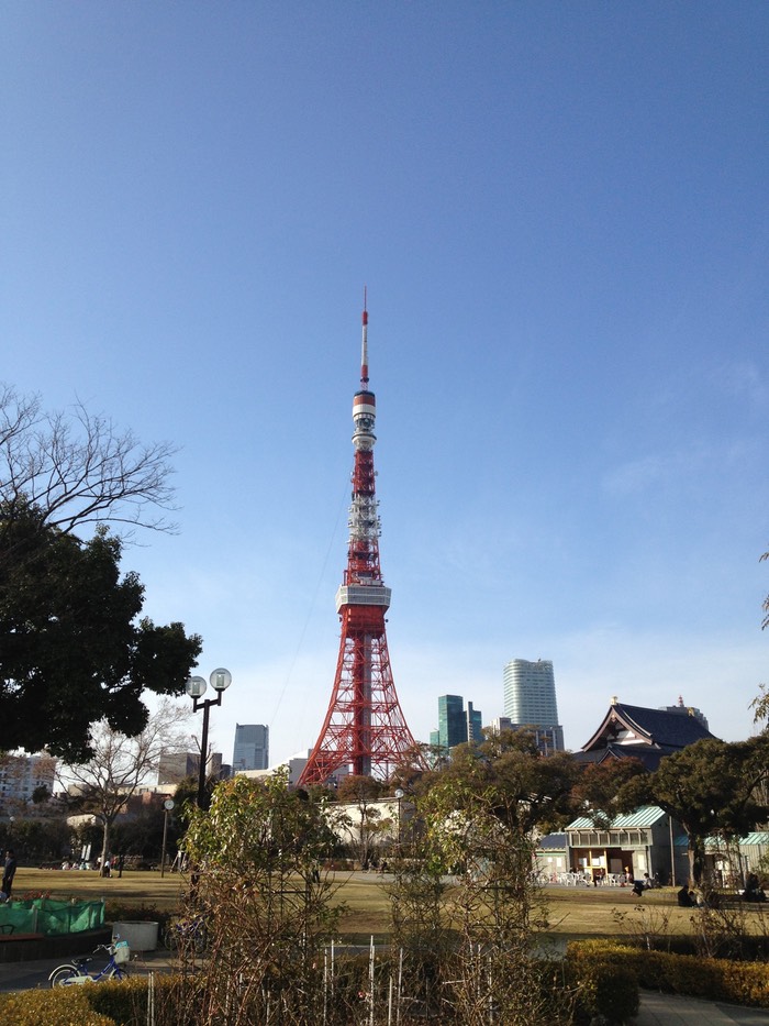 Photo 02-02-2013 15 03 17