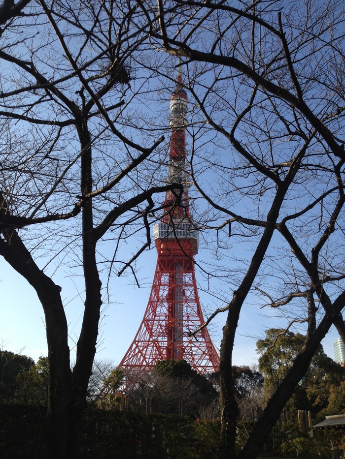 Photo 02-02-2013 15 22 38