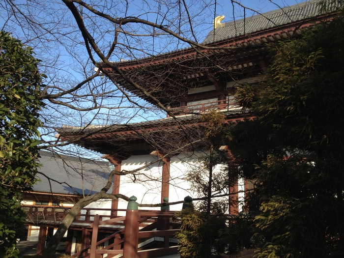 Photo 02-02-2013 15 23 38