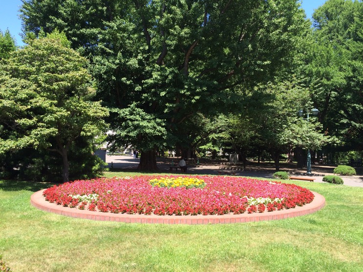 Photo 06-07-2015 10 54 39