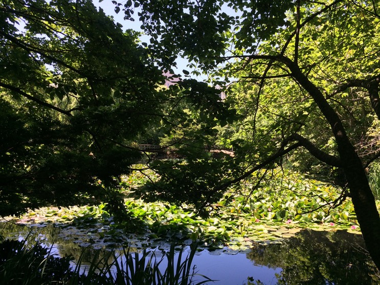 Photo 06-07-2015 10 57 03