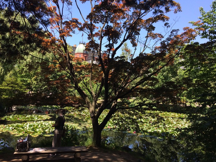 Photo 06-07-2015 10 58 02