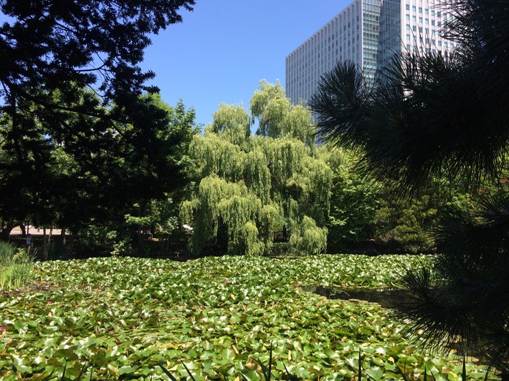 Photo 06-07-2015 11 00 04