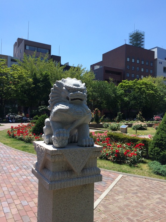 Photo 06-07-2015 11 22 10