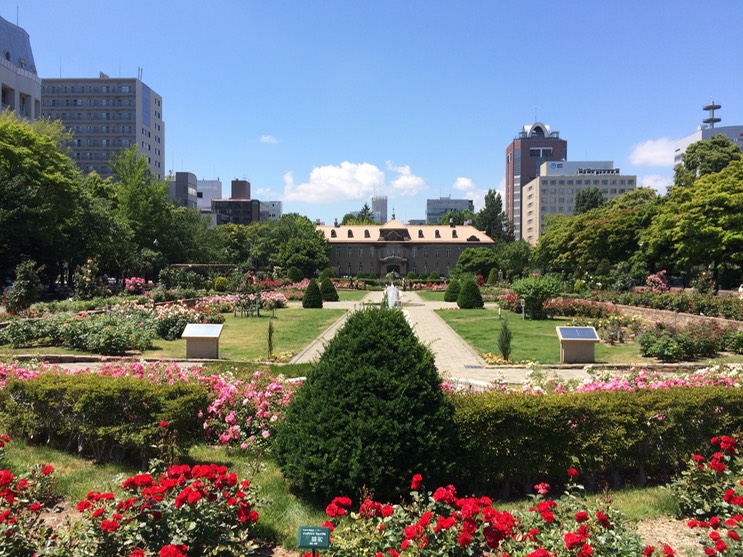 Photo 06-07-2015 11 22 32