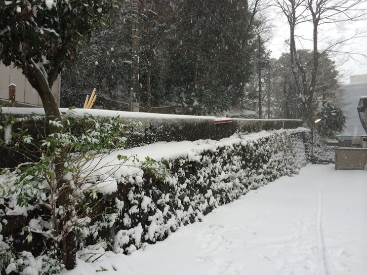 Photo 08-02-2014 15 13 09