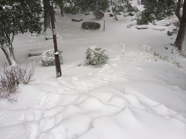 Photo 08-02-2014 15 46 46