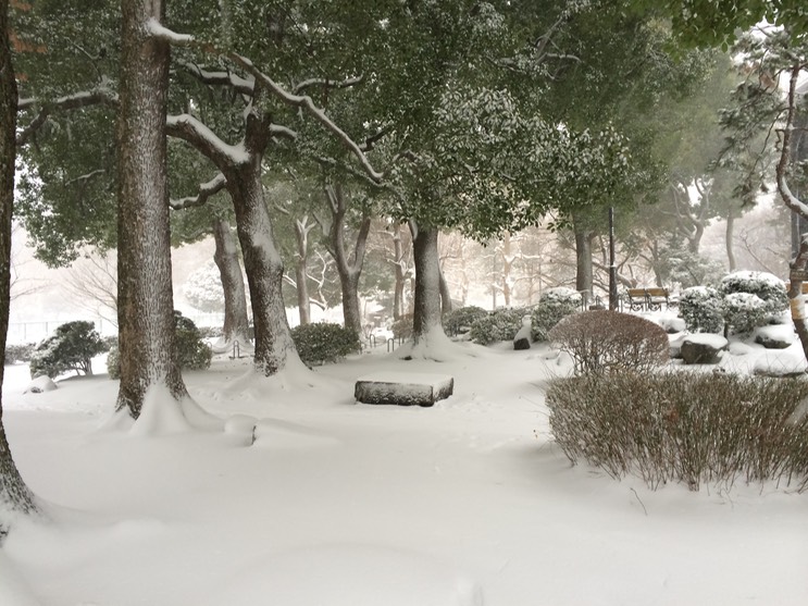 Photo 08-02-2014 15 47 56