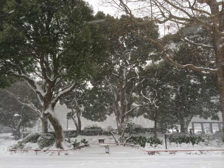 Photo 08-02-2014 15 49 42