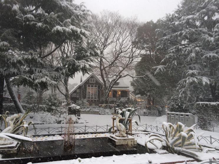 Photo 08-02-2014 15 51 34