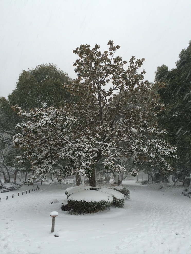 Photo 08-02-2014 15 52 39